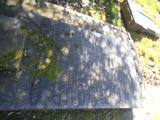 image of grave number 683154